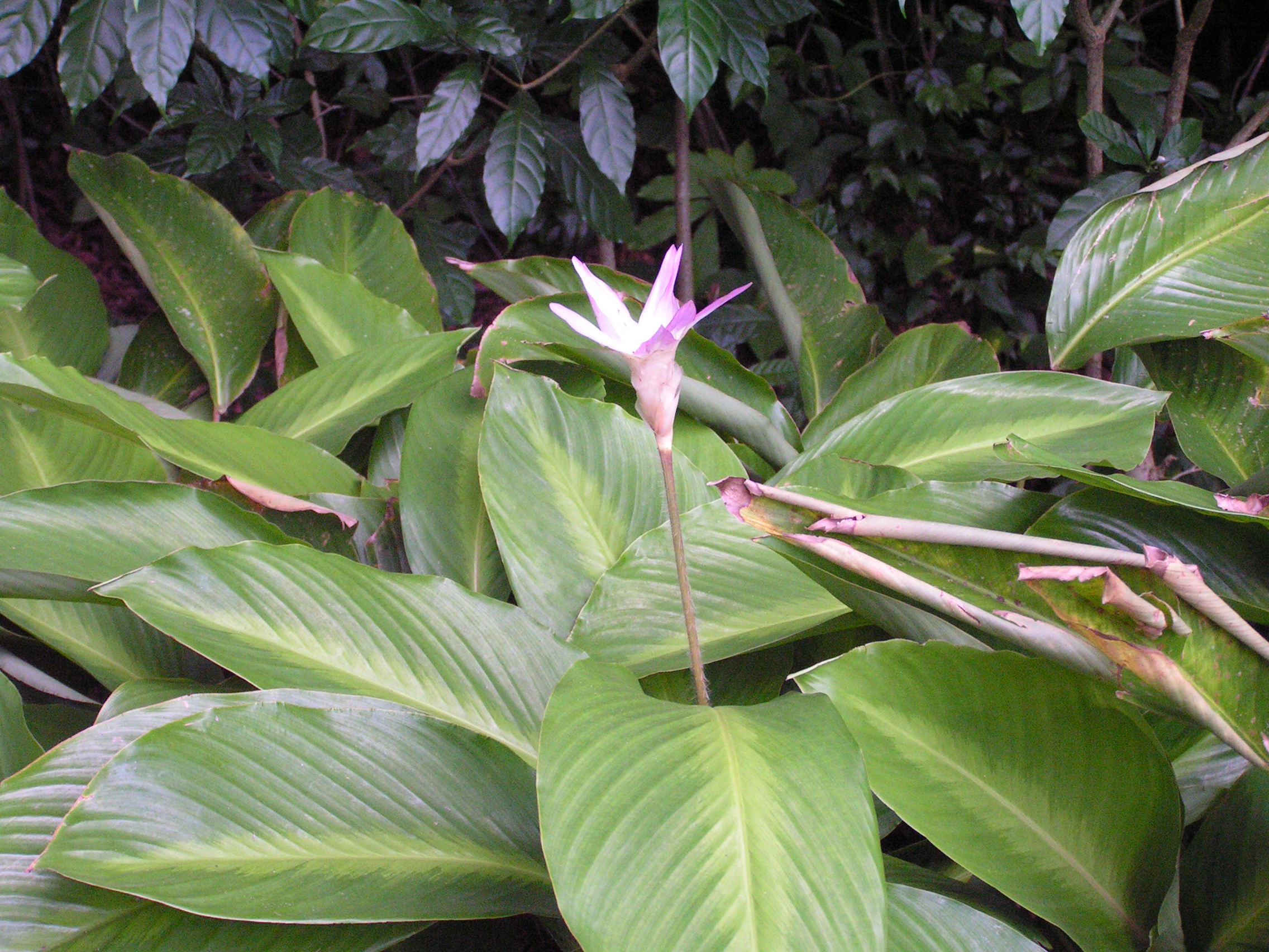 ./2005/Puerto Rico/Part 2/PICT0127.JPG